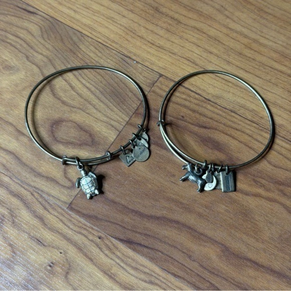 Alex and Ani Charity Bronze Charm Bangle Bracelets Dog Sea Turtle Alex&Ani Lot - Picture 6 of 8